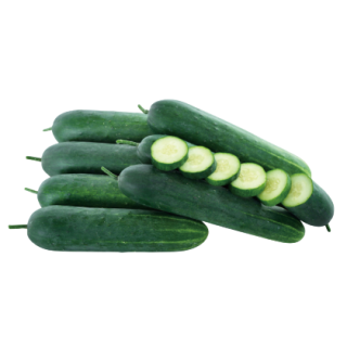 Ruchita Cucumber From Known You Seed (India) (1)-KYI